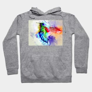 Watercolor Hummingbird Hoodie